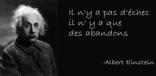 vertu-échec-einstein